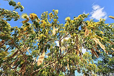 NS版《尼尔：机械纪元》公布角色9S预告 也可战斗